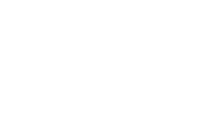 Nona Cleaning logo